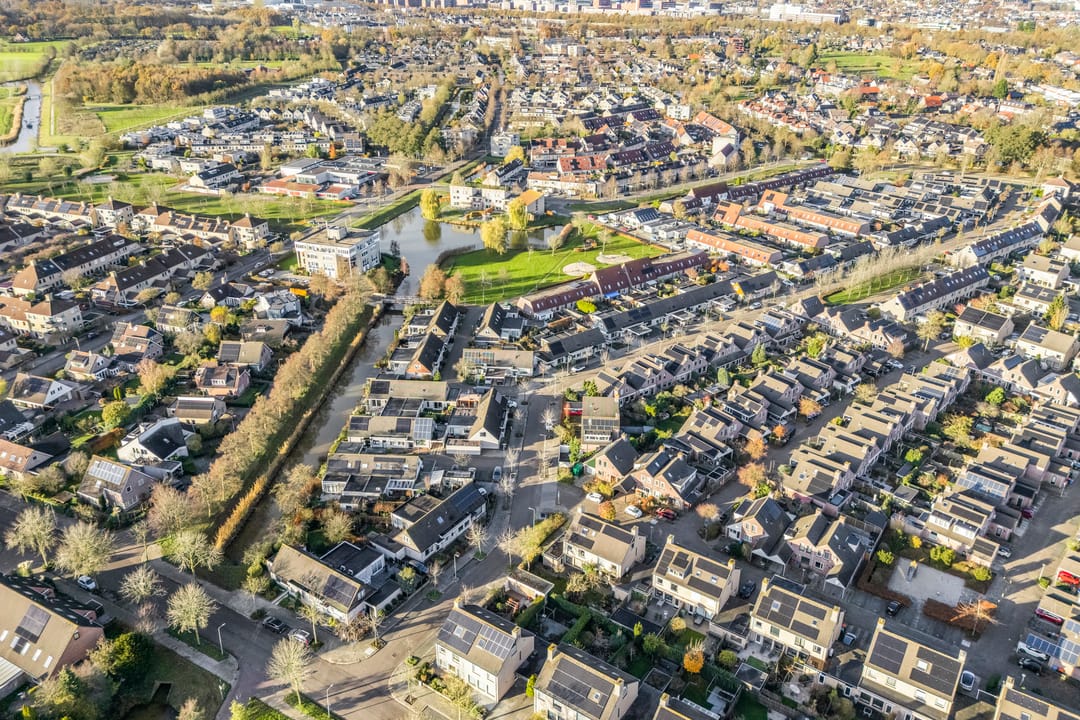 Photo 43 of Citroenvlinder 19