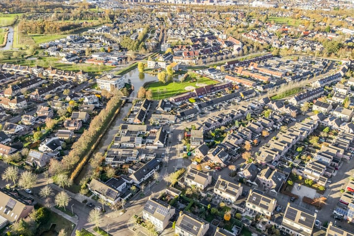 Photo 43 of Citroenvlinder 19