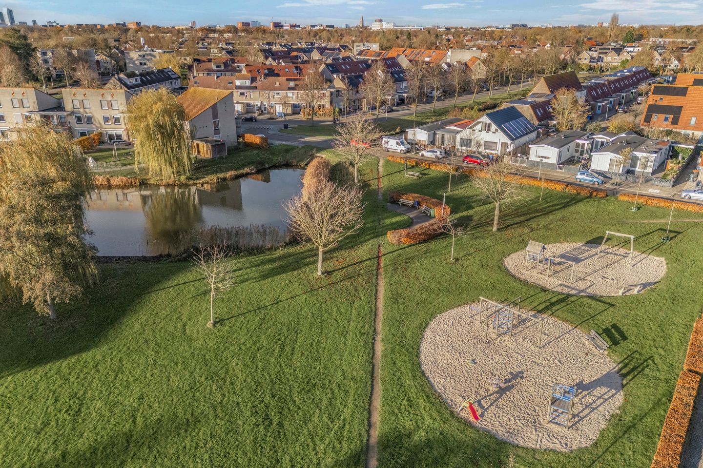 Photo 44 of Citroenvlinder 19