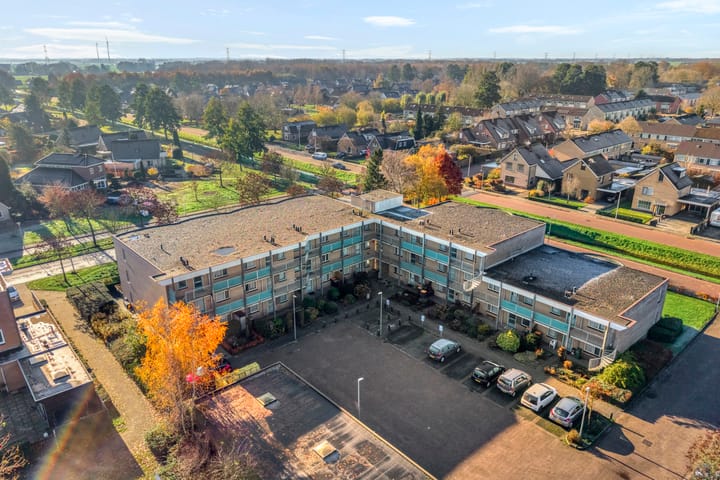 Foto 4 van Vivaldi 43