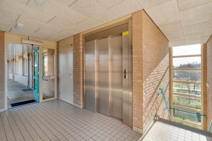 Foto 5 van Vivaldi 43