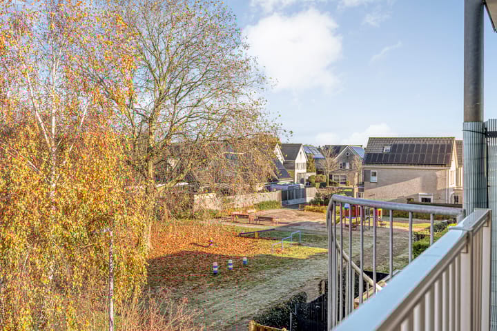 Foto 34 van Vivaldi 43