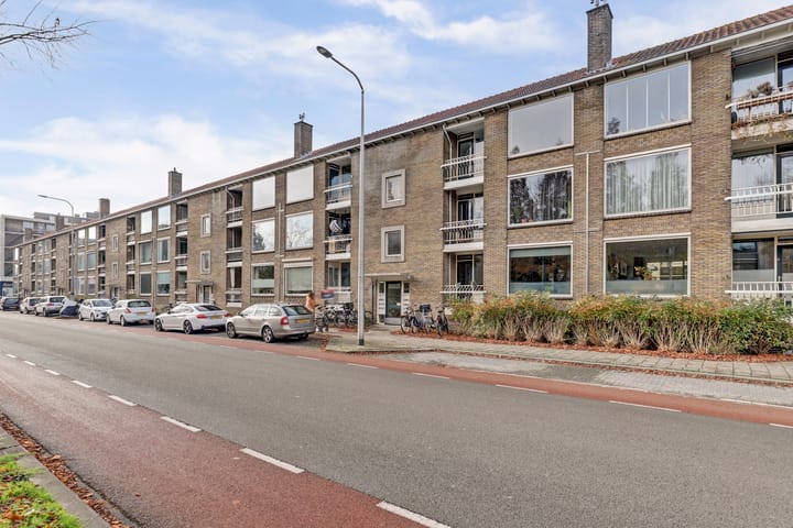 Photo 21 of Statensingel 59