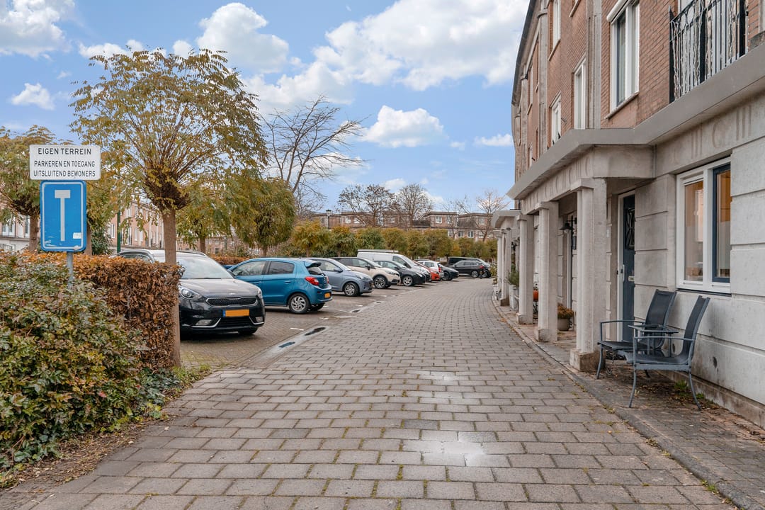 Foto 31 van Pronkmos 11