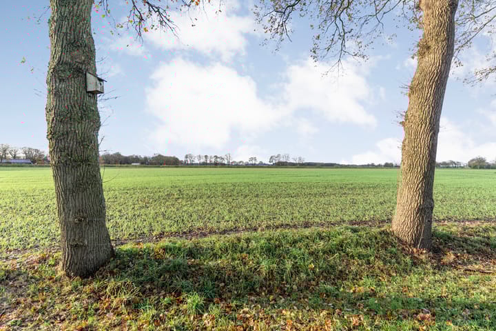 Foto 5 van Radewijkerweg 40