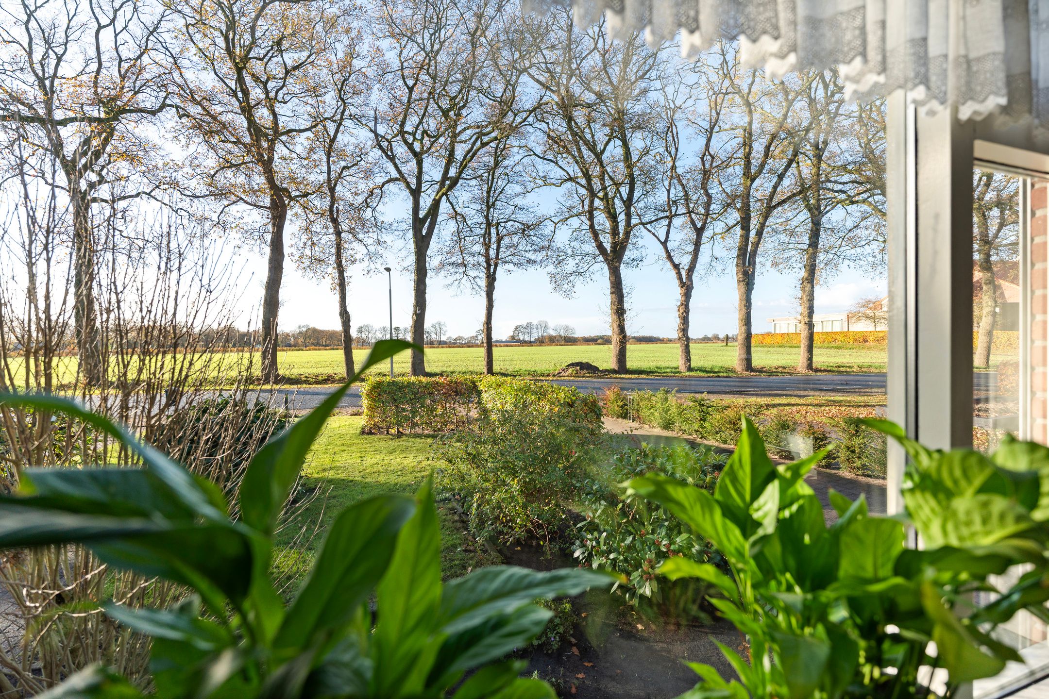 Foto 12 van Radewijkerweg 40