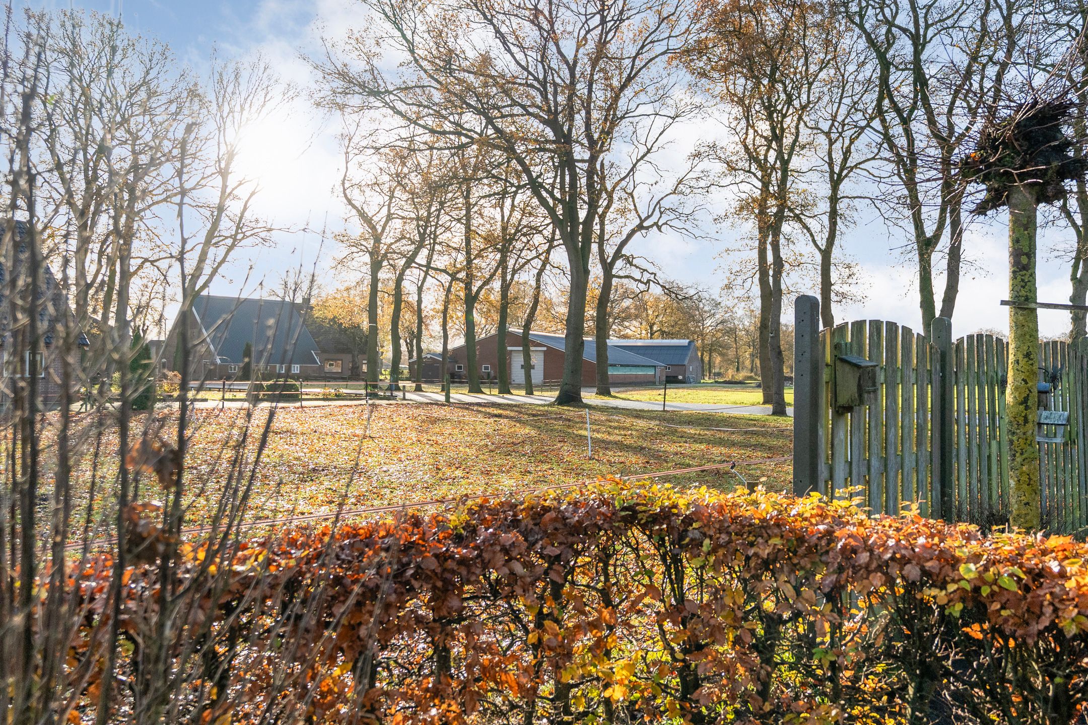 Foto 51 van Radewijkerweg 40