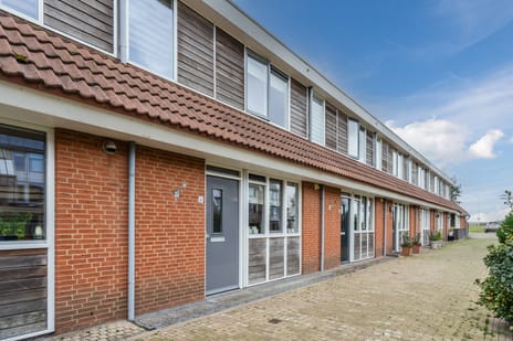 Fluitekruid 6 secondary image