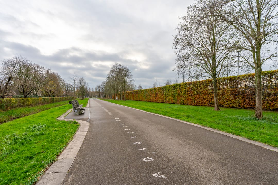 Photo 46 of Pablo Picassostraat 63