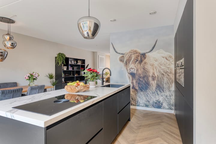 Photo 11 of Schrappaardje 24