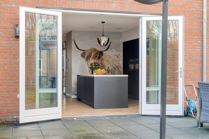 Photo 25 of Schrappaardje 24