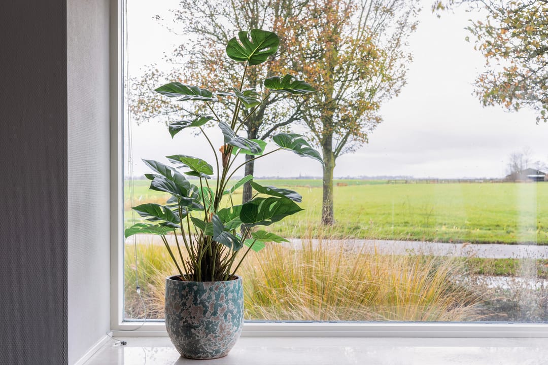 Foto 32 van Buorfinneleane 44