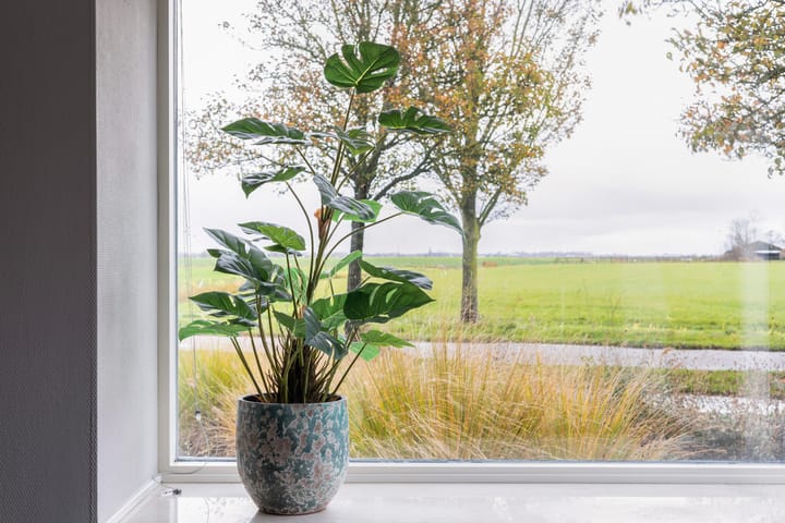 Photo 30 of Buorfinneleane 44