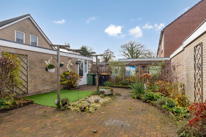 Foto 3 van de Weegbree 38