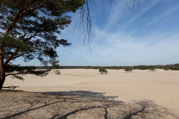 Photo 63 of den Blieklaan 33