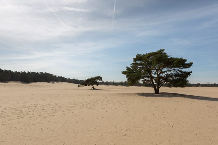 Photo 64 of den Blieklaan 33