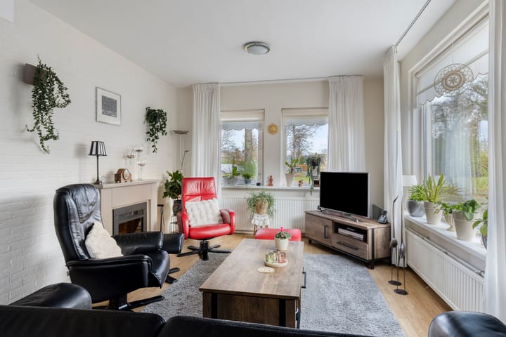 Foto 4 van de Weegbree 38