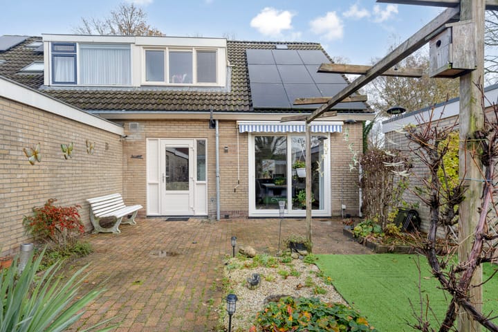 Foto 2 van de Weegbree 38