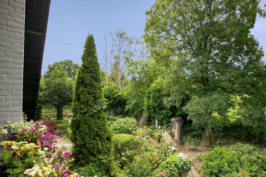 Foto 30 van Kinkenpolder 10