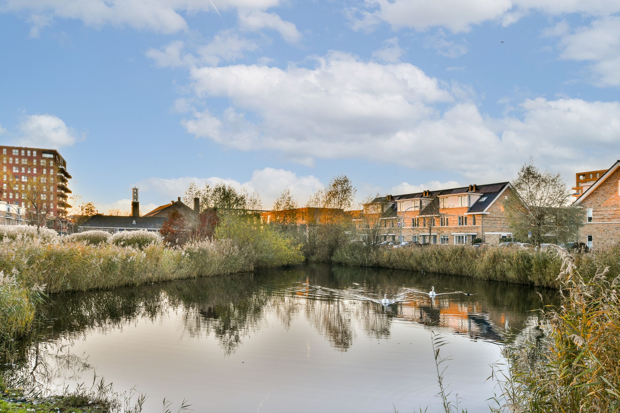 Photo 33 of Salviastraat 36