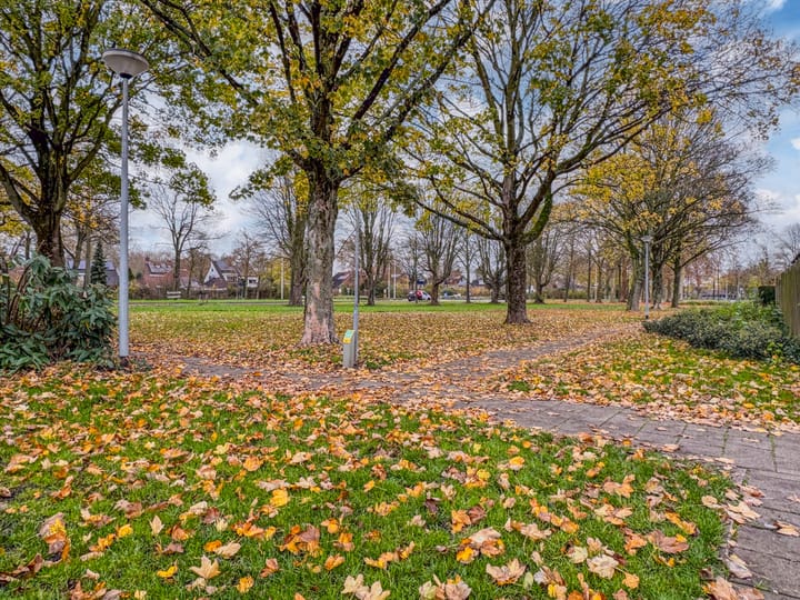 Photo 53 of Zonegge 17 9