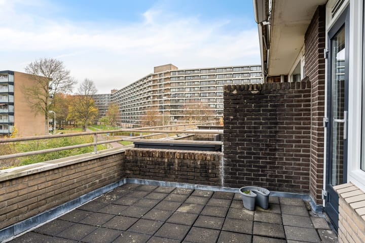 Foto 29 van Lippe-Biesterfeldstraat 21