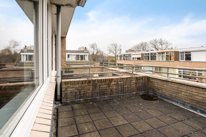 Foto 31 van Lippe-Biesterfeldstraat 21