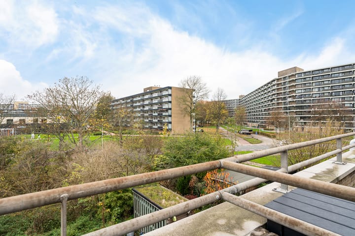 Foto 32 van Lippe-Biesterfeldstraat 21