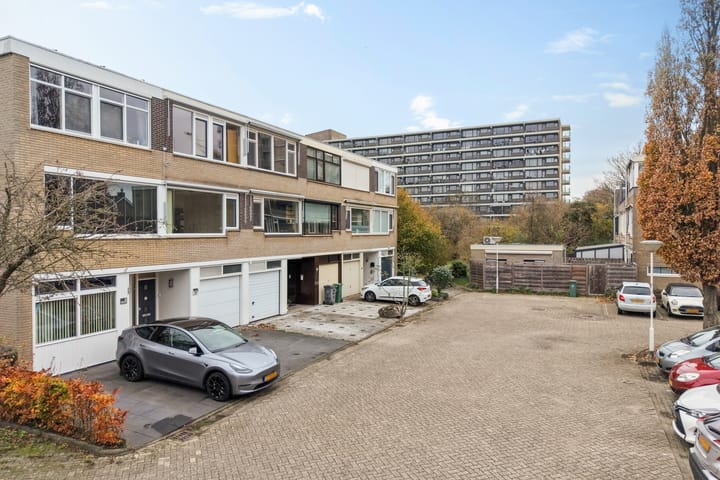 Foto 41 van Lippe-Biesterfeldstraat 21