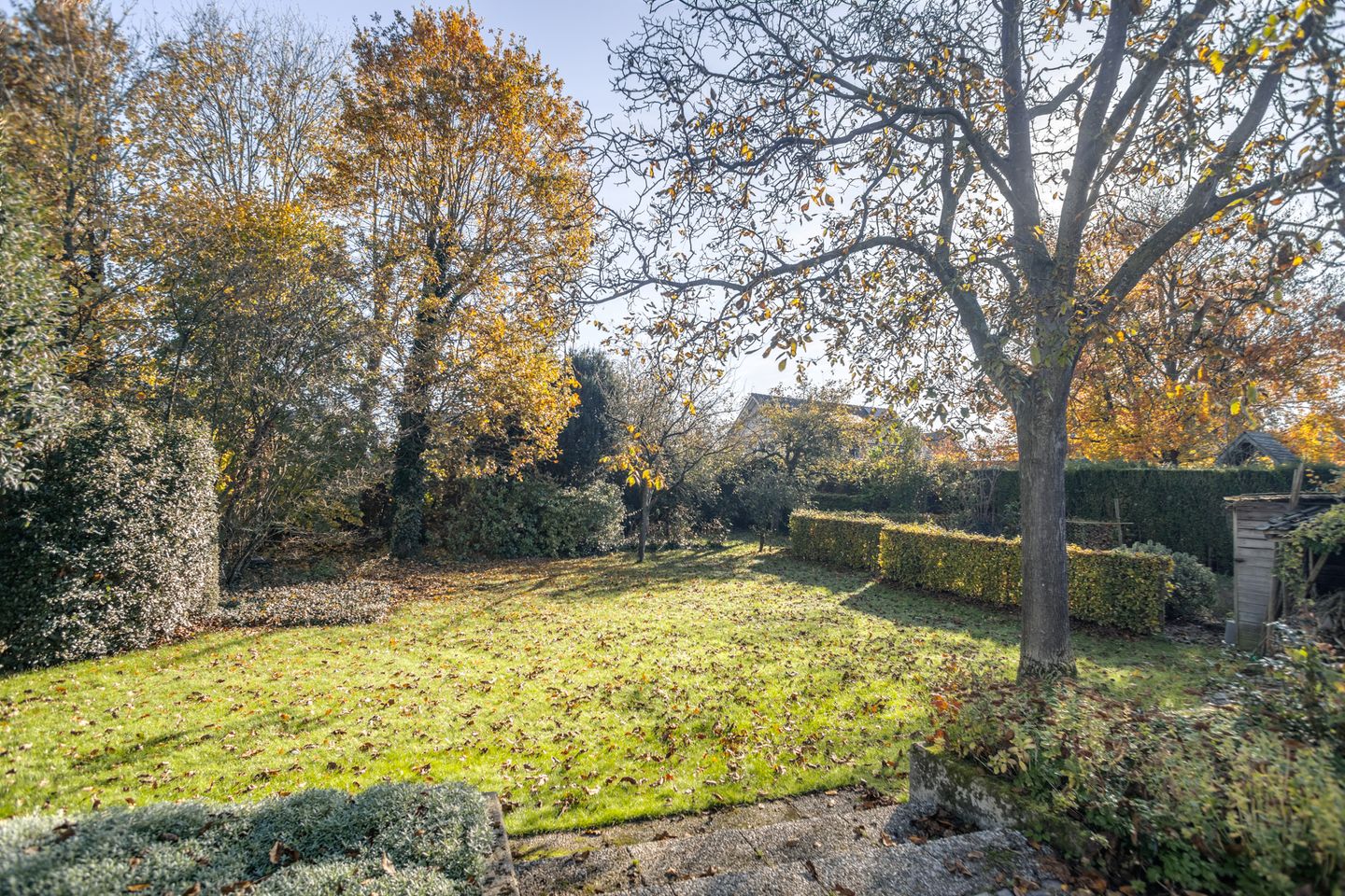 Foto 34 van Schoolstraat 41