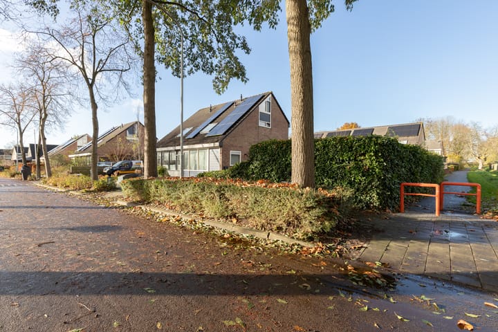 Photo 5 of Dollardlaan 30