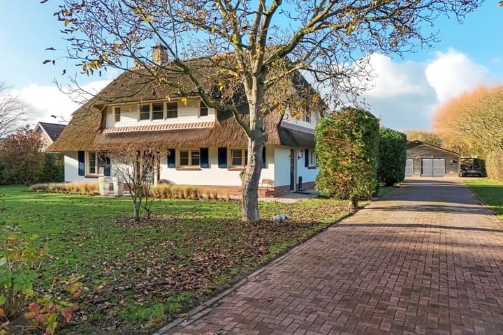 Hazekamp 4 main image