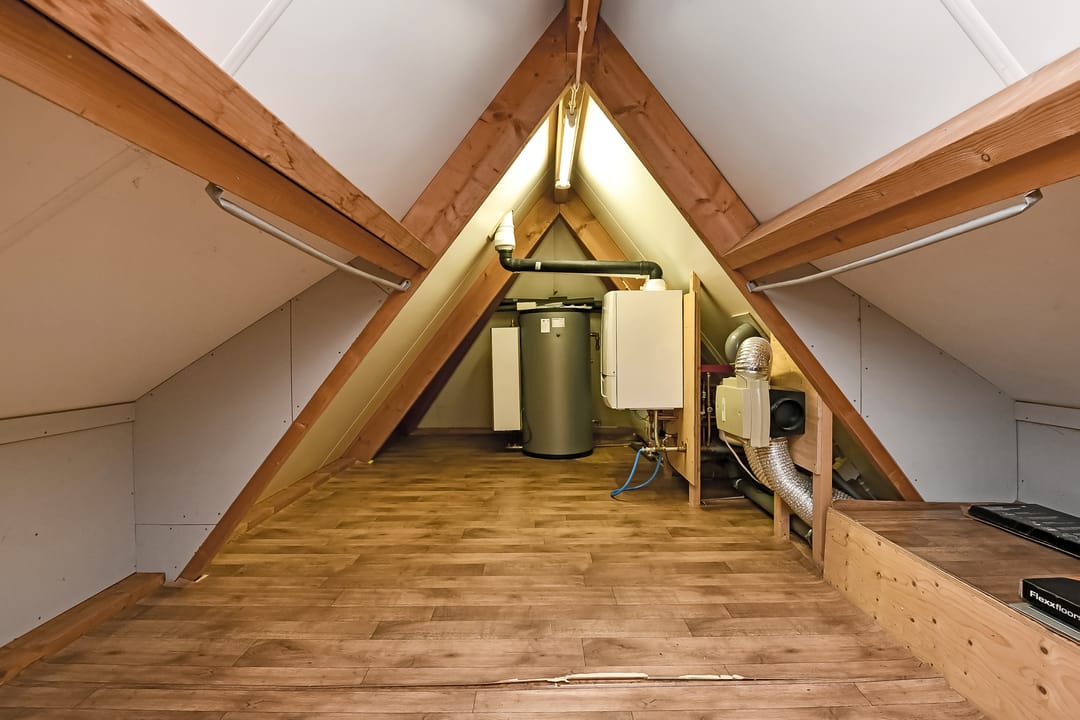 Foto 43 van Hazekamp 4