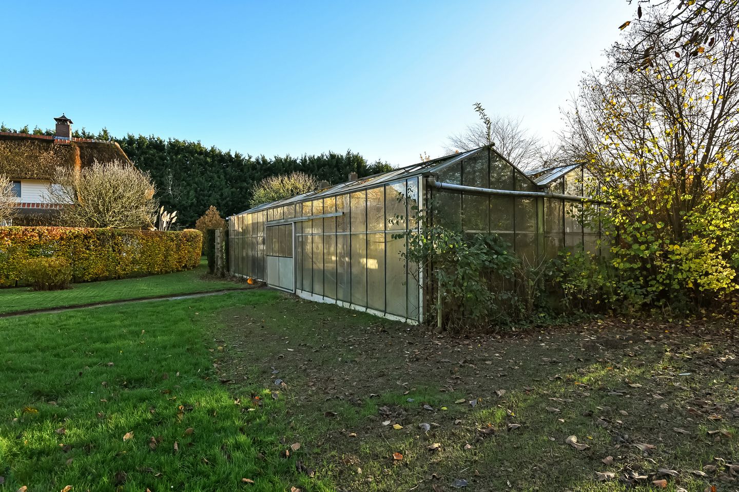 Foto 65 van Hazekamp 4