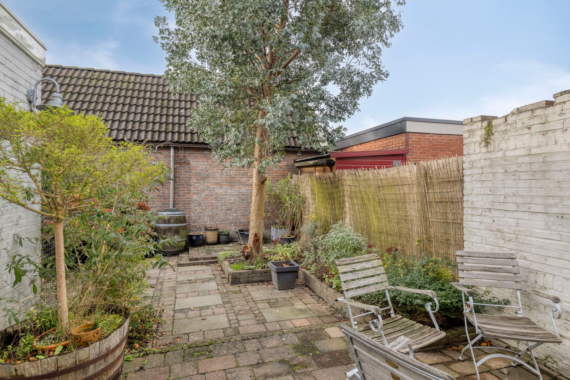 Foto 51 van Ubbo Wilkensstraat 14