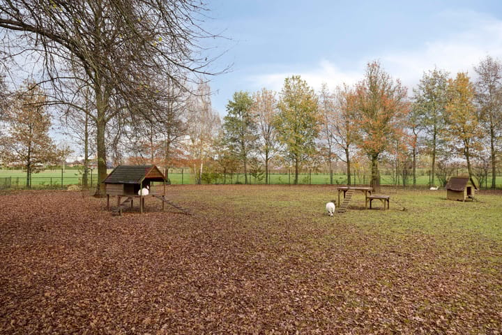 Photo 44 of Beemden 7