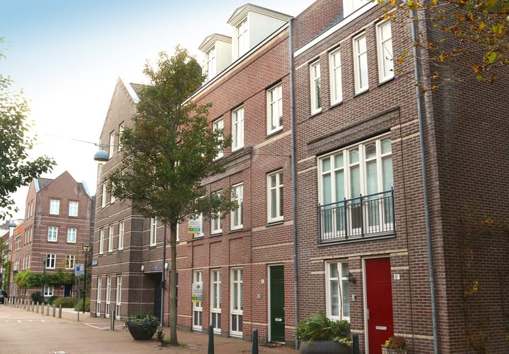 Willem Silviusstraat 8