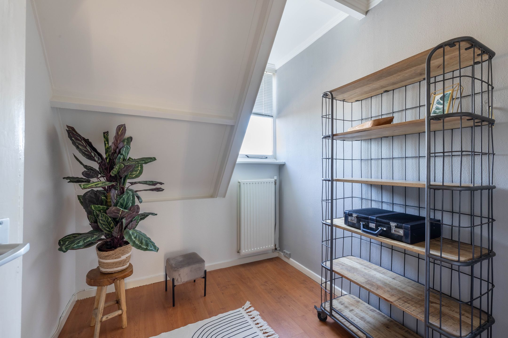 Photo 18 of Zwanebloemstraat 11