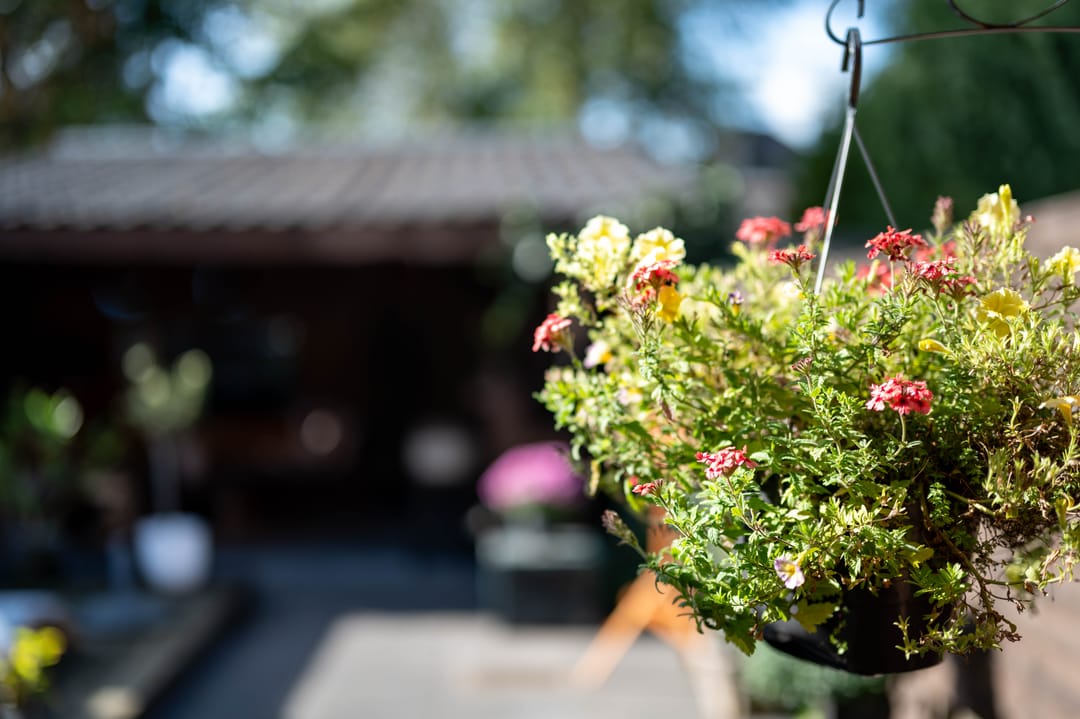 Photo 28 of Zwanebloemstraat 11