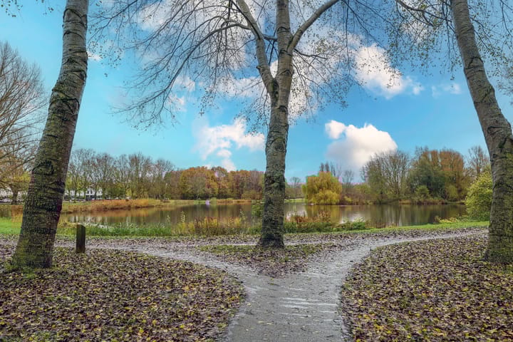 Foto 55 van Berkelstraat 4