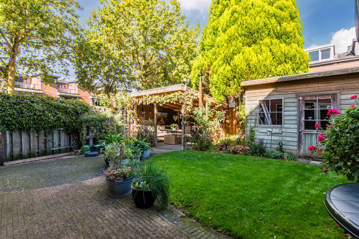 Foto 2 van Duifkruid 1