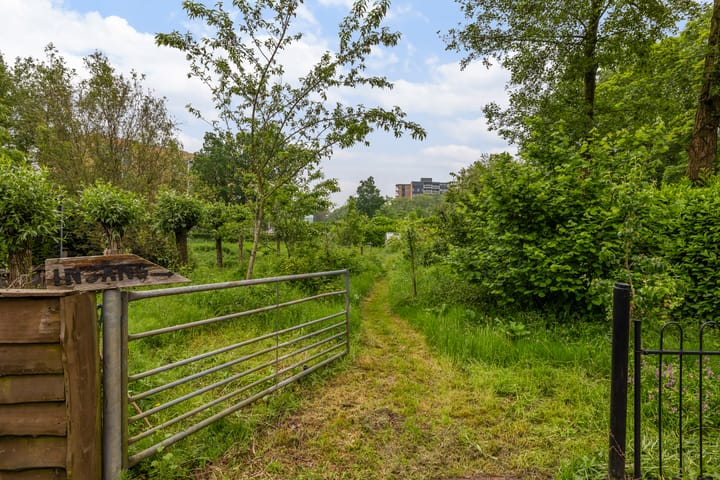 Photo 38 of Clemensstraat 54