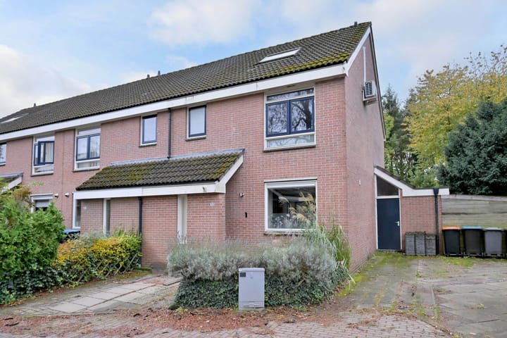 Photo 2 of Meerkoet 30