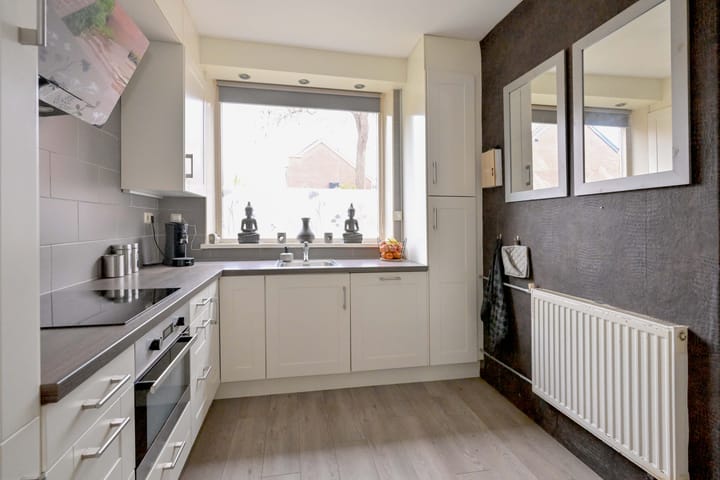 Photo 9 of Meerkoet 30