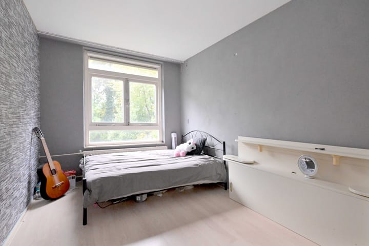 Photo 18 of Meerkoet 30