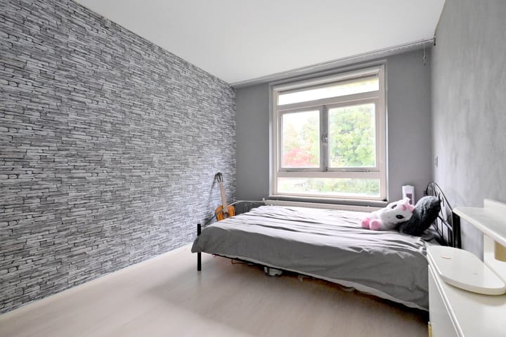 Photo 19 of Meerkoet 30