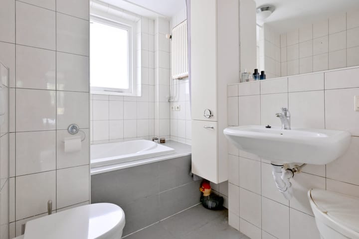 Photo 20 of Meerkoet 30