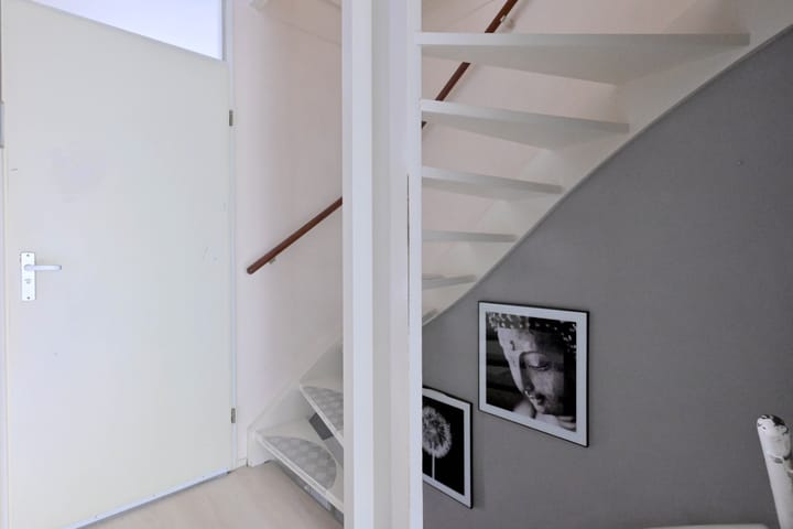 Photo 22 of Meerkoet 30