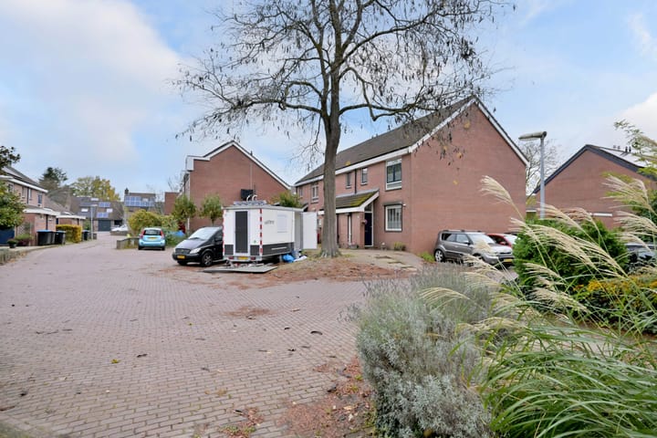 Photo 24 of Meerkoet 30