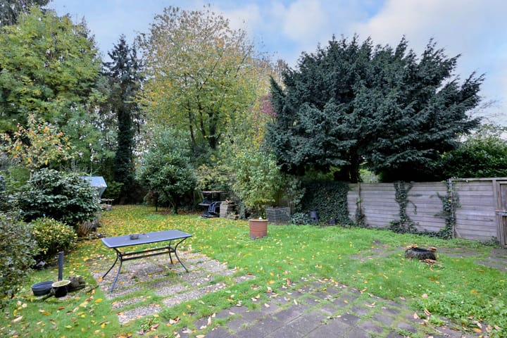 Photo 27 of Meerkoet 30